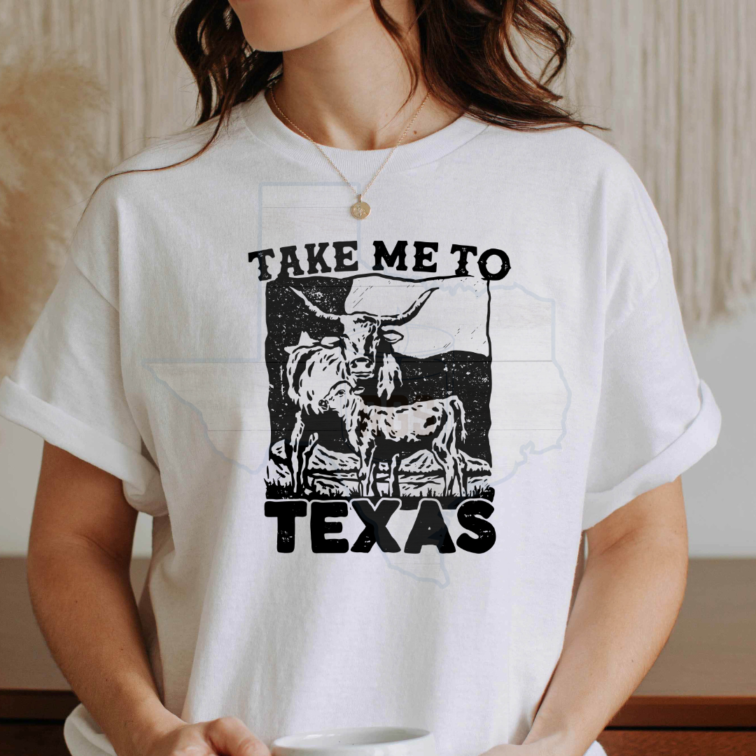 Take Me to Texas